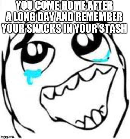Tears Of Joy | YOU COME HOME AFTER A LONG DAY AND REMEMBER YOUR SNACKS IN YOUR STASH | image tagged in memes,tears of joy | made w/ Imgflip meme maker