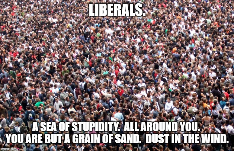 crowd of people | LIBERALS. A SEA OF STUPIDITY.  ALL AROUND YOU.  YOU ARE BUT A GRAIN OF SAND.  DUST IN THE WIND. | image tagged in crowd of people | made w/ Imgflip meme maker