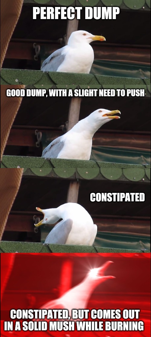 Inhaling Seagull Meme | PERFECT DUMP; GOOD DUMP, WITH A SLIGHT NEED TO PUSH; CONSTIPATED; CONSTIPATED, BUT COMES OUT IN A SOLID MUSH WHILE BURNING | image tagged in memes,inhaling seagull | made w/ Imgflip meme maker