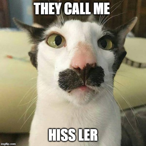 funny cat | THEY CALL ME; HISS LER | image tagged in funny cat | made w/ Imgflip meme maker