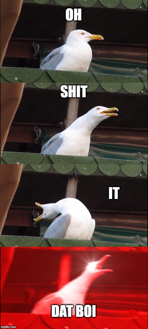 Inhaling Seagull | OH; SHIT; IT; DAT BOI | image tagged in memes,inhaling seagull | made w/ Imgflip meme maker