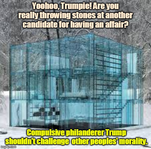 Let him without STD cast the first stone. | Yoohoo, Trumpie! Are you really throwing stones at another candidate for having an affair? Compulsive philanderer Trump shouldn't challenge  other peoples' morality. | image tagged in glass house,stone,trump,morality,hypocrisy,std | made w/ Imgflip meme maker