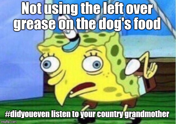 Mocking Spongebob | Not using the left over grease on the dog's food; #didyoueven listen to your country grandmother | image tagged in memes,mocking spongebob | made w/ Imgflip meme maker