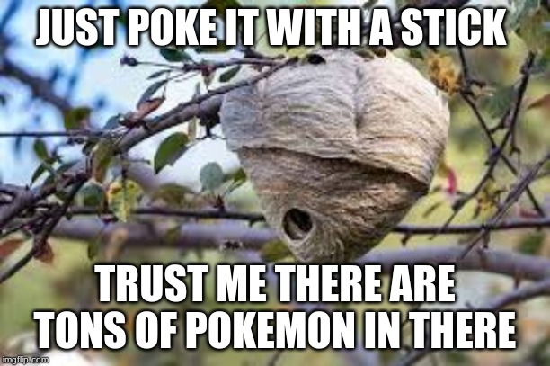 pokemon go experts | JUST POKE IT WITH A STICK; TRUST ME THERE ARE TONS OF POKEMON IN THERE | image tagged in pokemon | made w/ Imgflip meme maker