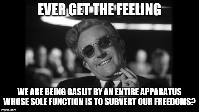 dr strangelove | EVER GET THE FEELING WE ARE BEING GASLIT BY AN ENTIRE APPARATUS WHOSE SOLE FUNCTION IS TO SUBVERT OUR FREEDOMS? | image tagged in dr strangelove | made w/ Imgflip meme maker