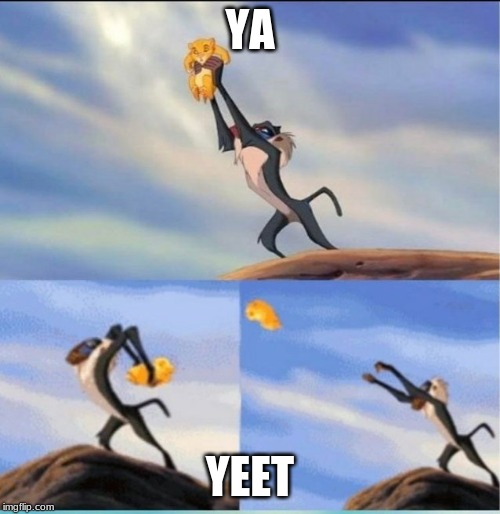 lion being yeeted | YA; YEET | image tagged in lion being yeeted | made w/ Imgflip meme maker