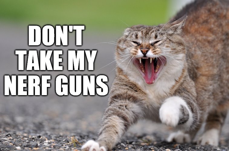 pissed cat | DON'T TAKE MY NERF GUNS | image tagged in pissed cat | made w/ Imgflip meme maker