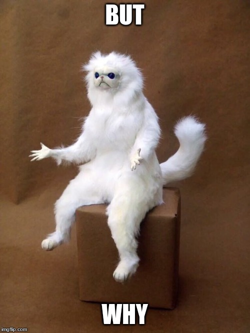 but why cat | BUT WHY | image tagged in but why cat | made w/ Imgflip meme maker