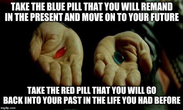 Matrix Pills | TAKE THE BLUE PILL THAT YOU WILL REMAND IN THE PRESENT AND MOVE ON TO YOUR FUTURE; TAKE THE RED PILL THAT YOU WILL GO BACK INTO YOUR PAST IN THE LIFE YOU HAD BEFORE | image tagged in matrix pills | made w/ Imgflip meme maker