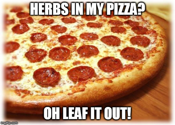 Coming out pizza  | HERBS IN MY PIZZA? OH LEAF IT OUT! | image tagged in coming out pizza | made w/ Imgflip meme maker