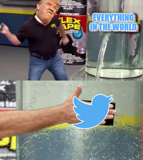 Everything | EVERYTHING IN THE WORLD; EVERYTHING IN THE WORLD | image tagged in flex tape,trump,memes,twitter,funny,there i fixed it | made w/ Imgflip meme maker