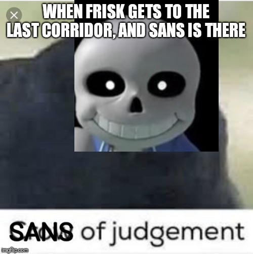I call sans of judgement. | WHEN FRISK GETS TO THE LAST CORRIDOR, AND SANS IS THERE; SANS | image tagged in crow,sans,judgement | made w/ Imgflip meme maker