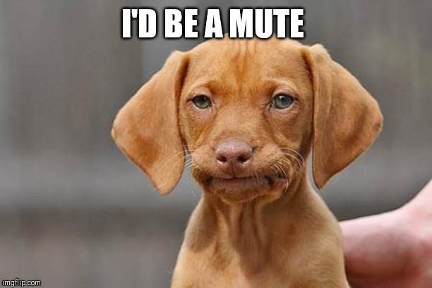 Dissapointed puppy | I'D BE A MUTE | image tagged in dissapointed puppy | made w/ Imgflip meme maker