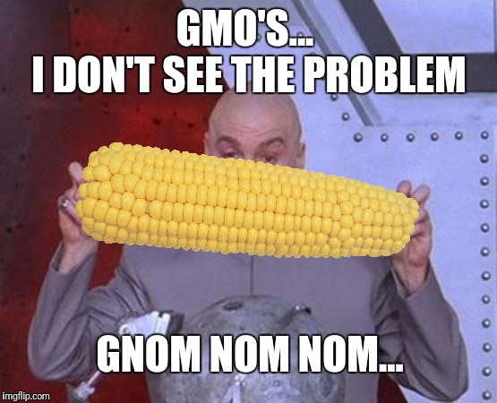 Dr Evil Laser Meme | GMO'S... 
I DON'T SEE THE PROBLEM; GNOM NOM NOM... | image tagged in memes,dr evil laser,gmo fruits vegetables | made w/ Imgflip meme maker