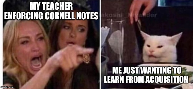 Cat at table | MY TEACHER ENFORCING CORNELL NOTES; ME JUST WANTING TO LEARN FROM ACQUISITION | image tagged in cat at table | made w/ Imgflip meme maker