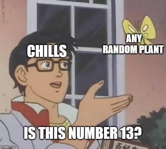Is This A Pigeon Meme | ANY RANDOM PLANT; CHILLS; IS THIS NUMBER 13? | image tagged in memes,is this a pigeon | made w/ Imgflip meme maker