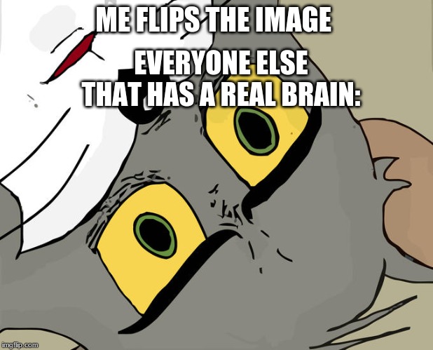 image flip | ME FLIPS THE IMAGE; EVERYONE ELSE THAT HAS A REAL BRAIN: | image tagged in unsettled tom | made w/ Imgflip meme maker