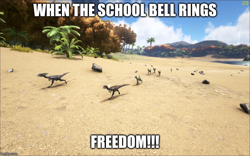 Ark survival evolved | WHEN THE SCHOOL BELL RINGS; FREEDOM!!! | image tagged in ark survival evolved | made w/ Imgflip meme maker
