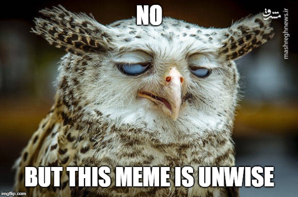 Unwise Owl | NO BUT THIS MEME IS UNWISE | image tagged in unwise owl | made w/ Imgflip meme maker