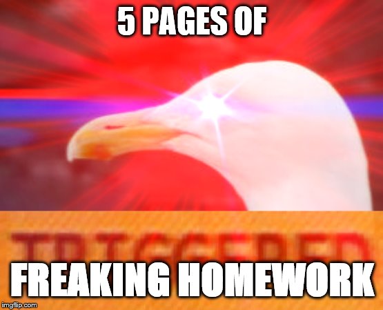 Triggered Seagull | 5 PAGES OF FREAKING HOMEWORK | image tagged in triggered seagull | made w/ Imgflip meme maker
