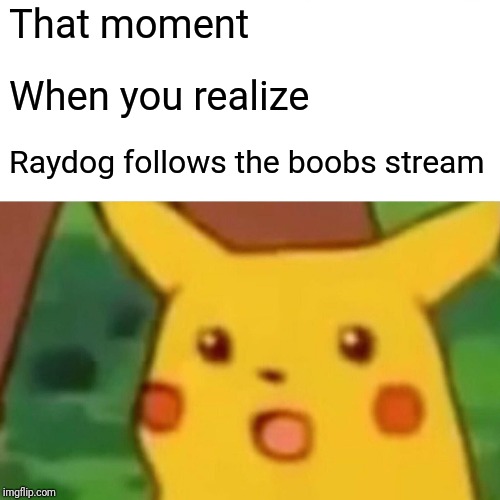 Surprised Pikachu Meme | That moment; When you realize; Raydog follows the boobs stream | image tagged in memes,surprised pikachu | made w/ Imgflip meme maker