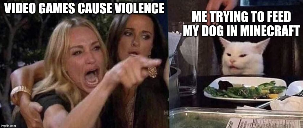stupid media | ME TRYING TO FEED MY DOG IN MINECRAFT; VIDEO GAMES CAUSE VIOLENCE | image tagged in woman yelling at cat | made w/ Imgflip meme maker