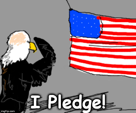 fl2 | I Pledge! | image tagged in fl2 | made w/ Imgflip meme maker