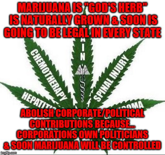 Benefits of Marijuana | MARIJUANA IS "GOD'S HERB"  IS NATURALLY GROWN & SOON IS GOING TO BE LEGAL IN EVERY STATE; ABOLISH CORPORATE/POLITICAL CONTRIBUTIONS BECAUSE... CORPORATIONS OWN POLITICIANS & SOON MARIJUANA WILL BE CONTROLLED | image tagged in benefits of marijuana | made w/ Imgflip meme maker