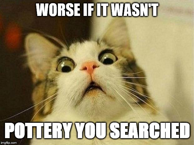 Scared Cat Meme | WORSE IF IT WASN'T POTTERY YOU SEARCHED | image tagged in memes,scared cat | made w/ Imgflip meme maker