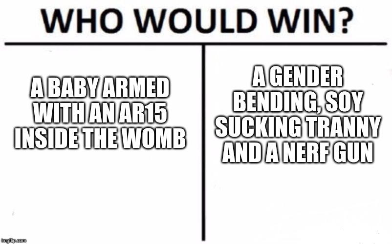 Who Would Win? Meme | A BABY ARMED WITH AN AR15 INSIDE THE WOMB; A GENDER BENDING, SOY SUCKING TRANNY AND A NERF GUN | image tagged in memes,who would win | made w/ Imgflip meme maker