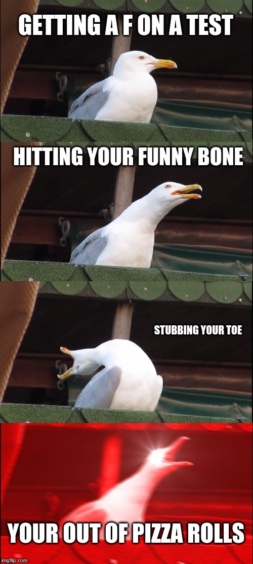 Inhaling Seagull Meme | GETTING A F ON A TEST; HITTING YOUR FUNNY BONE; STUBBING YOUR TOE; YOUR OUT OF PIZZA ROLLS | image tagged in memes,inhaling seagull | made w/ Imgflip meme maker