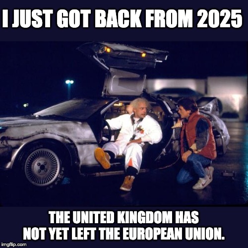 Back to the future | I JUST GOT BACK FROM 2025; THE UNITED KINGDOM HAS NOT YET LEFT THE EUROPEAN UNION. | image tagged in back to the future | made w/ Imgflip meme maker