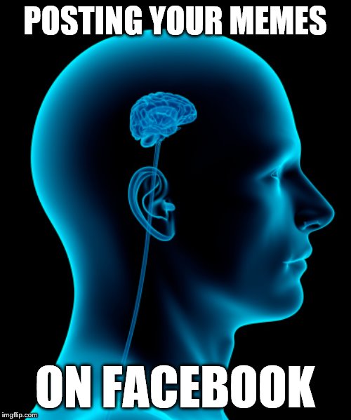 small brain | POSTING YOUR MEMES ON FACEBOOK | image tagged in small brain | made w/ Imgflip meme maker
