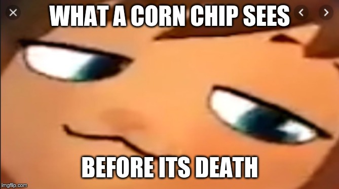 WHAT A CORN CHIP SEES; BEFORE ITS DEATH | image tagged in smug,memes | made w/ Imgflip meme maker