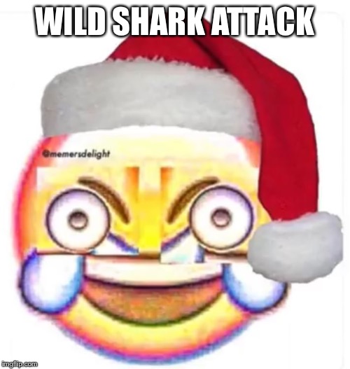 XD face | WILD SHARK ATTACK | image tagged in xd face | made w/ Imgflip meme maker
