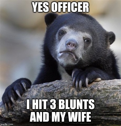 Confession Bear Meme | YES OFFICER; I HIT 3 BLUNTS AND MY WIFE | image tagged in memes,confession bear | made w/ Imgflip meme maker