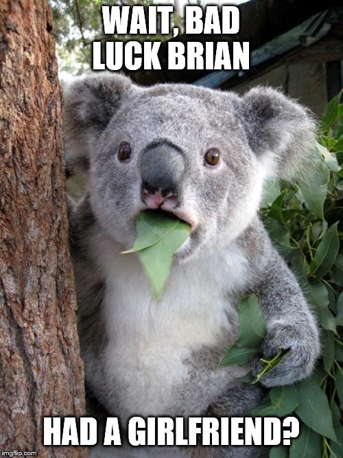 Surprised Koala Meme | WAIT, BAD LUCK BRIAN HAD A GIRLFRIEND? | image tagged in memes,surprised koala | made w/ Imgflip meme maker