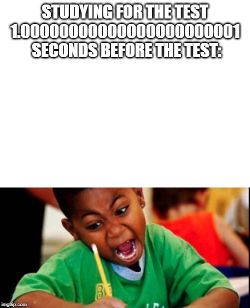 STUDYING FOR THE TEST 1.00000000000000000000001  SECONDS BEFORE THE TEST: | image tagged in blank white template | made w/ Imgflip meme maker