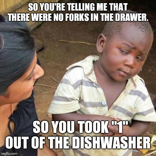 Put away the dishes | SO YOU'RE TELLING ME THAT THERE WERE NO FORKS IN THE DRAWER. SO YOU TOOK "1" OUT OF THE DISHWASHER | image tagged in memes,third world skeptical kid | made w/ Imgflip meme maker