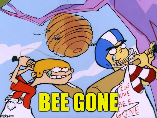 Eds Hive Bee Gone | BEE GONE | image tagged in memes,ed edd n eddy | made w/ Imgflip meme maker