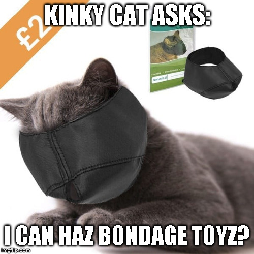 Cat bondage