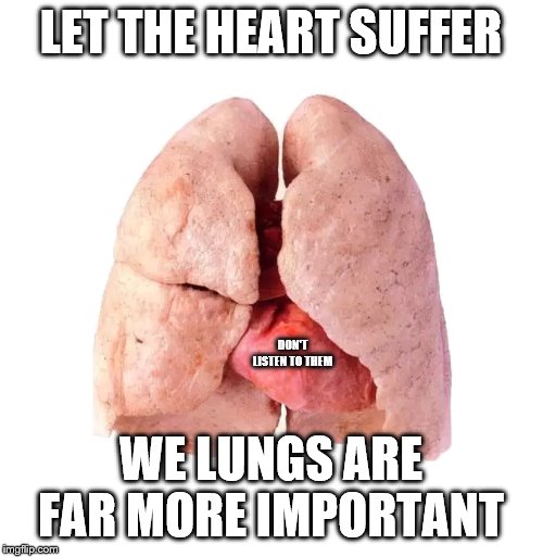 Healthy lungs | LET THE HEART SUFFER WE LUNGS ARE FAR MORE IMPORTANT DON'T LISTEN TO THEM | image tagged in healthy lungs | made w/ Imgflip meme maker