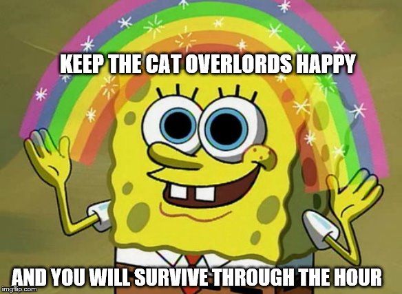 Imagination Spongebob Meme | KEEP THE CAT OVERLORDS HAPPY; AND YOU WILL SURVIVE THROUGH THE HOUR | image tagged in memes,imagination spongebob | made w/ Imgflip meme maker