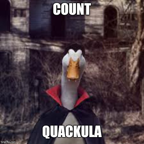 VAMP DUCK | COUNT; QUACKULA | image tagged in duck,ducks | made w/ Imgflip meme maker