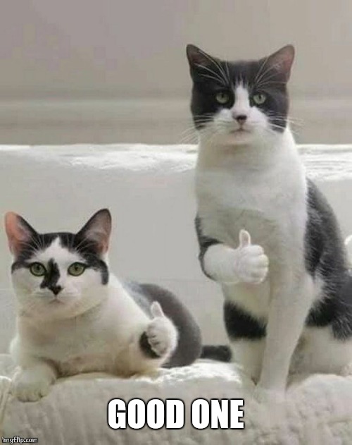 THUMBS UP CATS | GOOD ONE | image tagged in thumbs up cats | made w/ Imgflip meme maker