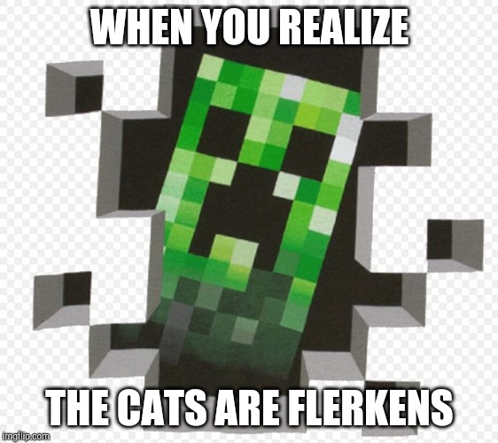 Minecraft Creeper | WHEN YOU REALIZE; THE CATS ARE FLERKENS | image tagged in minecraft creeper | made w/ Imgflip meme maker
