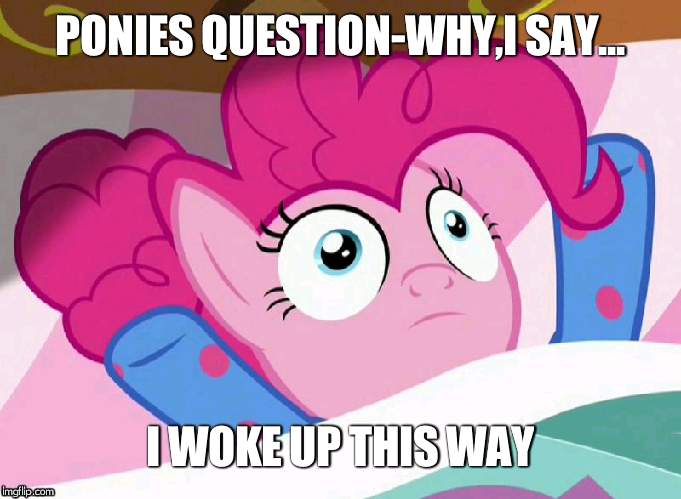 I woke up like this | PONIES QUESTION-WHY,I SAY... I WOKE UP THIS WAY | image tagged in i woke up like this | made w/ Imgflip meme maker