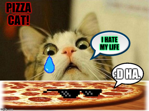 Scared Cat | PIZZA CAT! I HATE MY LIFE; :D HA. | image tagged in memes,scared cat | made w/ Imgflip meme maker