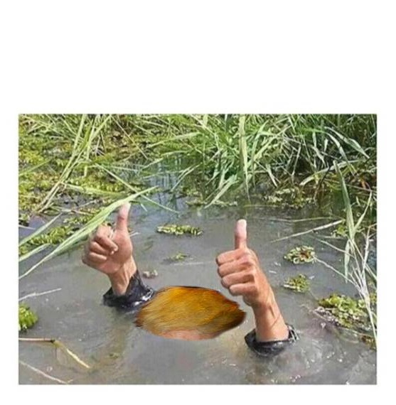High Quality TRUMP DROWNS IN SWAMP Blank Meme Template