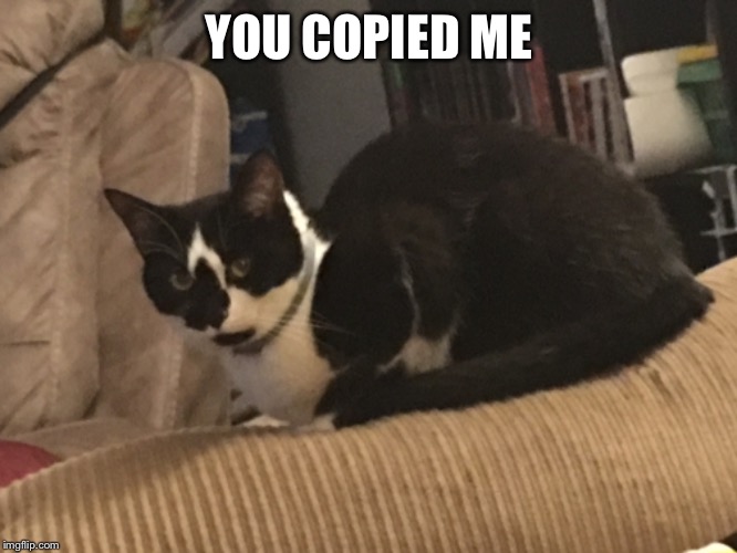 YOU COPIED ME | made w/ Imgflip meme maker